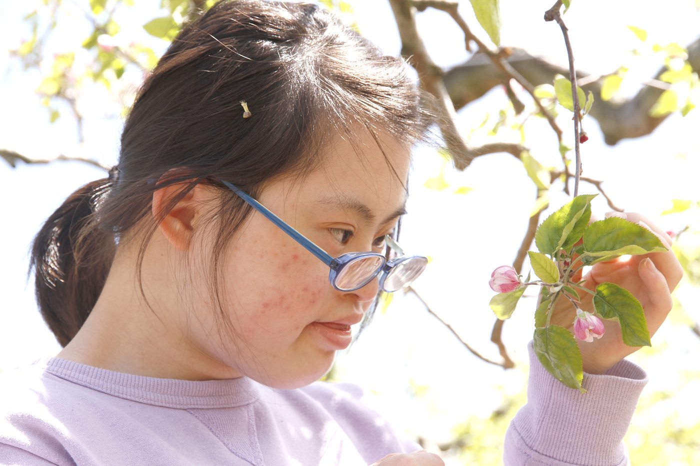 草花にふれる利用者の様子